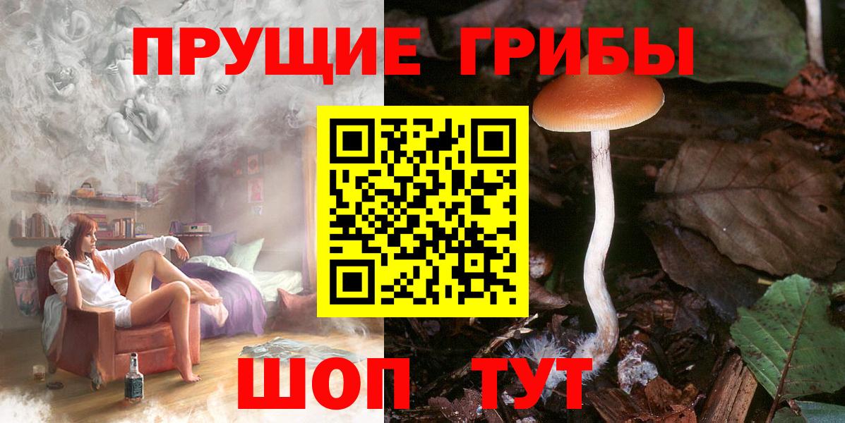 Галлюциногенные грибы Magic Shrooms Горячий Ключ